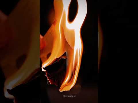 Shahin Najafi Bokonim شاهین نجفی بکنیم