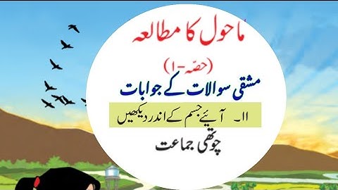 Std4th| EVS|Aaiye Jism ke andar dekhe|Sawal Jawab Come inside which you can see the question and ...