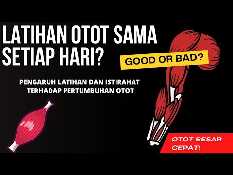 Video: Haruskah saya melakukan bisep dan trisep pada hari yang sama?