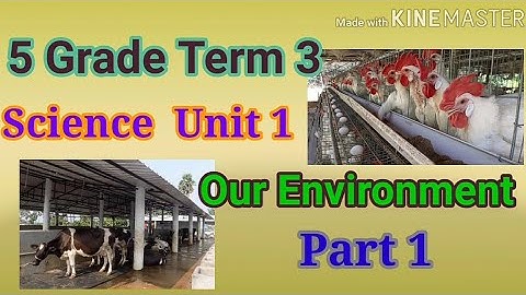5 Grade Science Term 3 Unit 1 Our Environment  - Part  1  Samacheer
