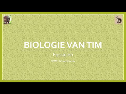 Biologie van Tim - Fossielen (bovenbouw)