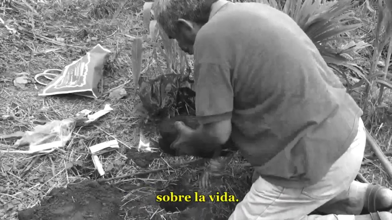 Di’stè-Di’s blàz (Poema en zapoteco)