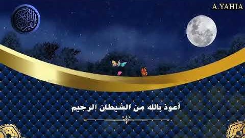 آيات بينات بصوت الشيخ صبري خيري سعيد