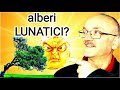 Influssi della LUNA su ALBERI e LEGNAMI. Che dice la scienza?