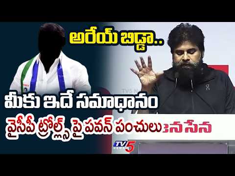 అరేయ్ బిడ్డా.. | Deputy CM Pawan Kalyan Funny Reaction on YSRCP Trolls | YS Jagan | TV5 News - TV5NEWS