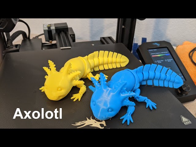 Mat Mire Makes Articulated Axolotl - Brown 100% Size – Down to Earth  Technologies