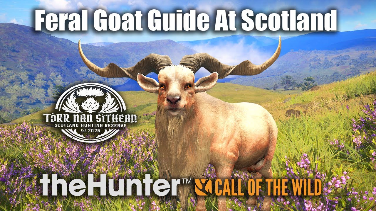 Feral Goat Guide At Scotland - Torr Nan Sithean - theHunter Call Of The ...