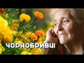 ЧОРНОБРИВЦI. Українська народна пісня