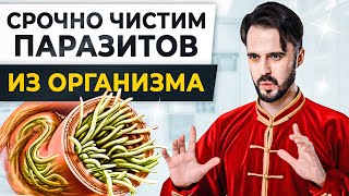 Сделайте Это – Глистов Не Будет Никогда! Симптомы, Средства И Профилактика Паразитов