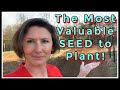 Most Valuable SEED to Plant 2021