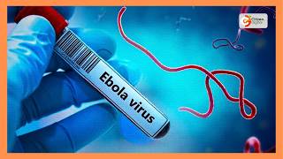 Kenya confirms second Ebola case
