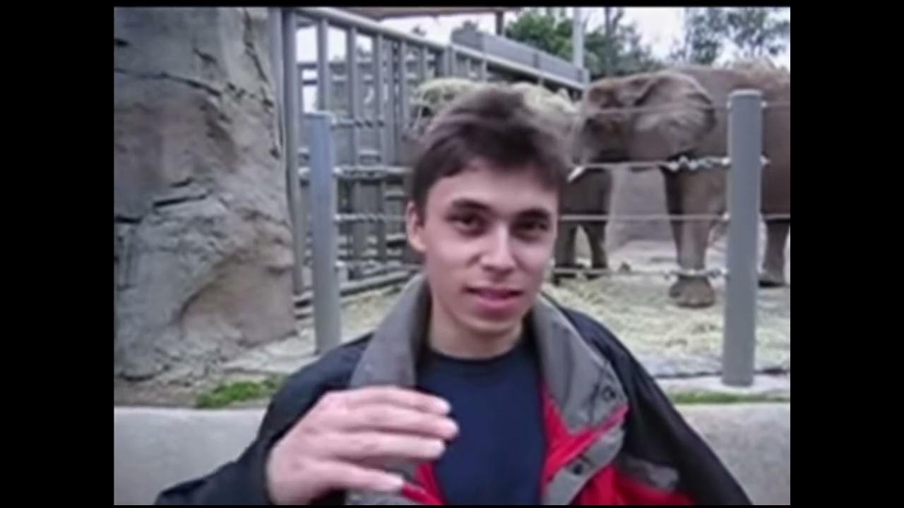 the first youtube video reversed YouTube