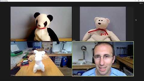 Rearrange Gallery View in Zoom