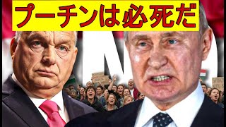 [Urgent Commentary] Putin is in a desperate situation and begs Orban, but it's too late!!