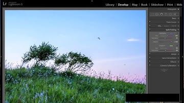 Lightroom tutorial 8  Split Toning Training Tutorial