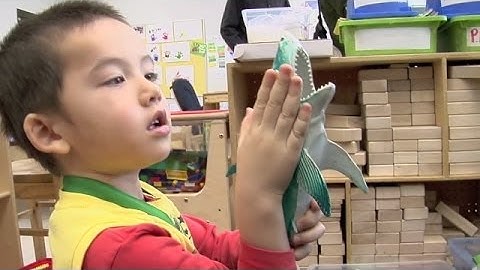 Just Right for Me, Estimating Measurements in Preschool (Early Math Collaborative at Erikson)