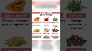 Продукты от поразитов /  Паразиты человека #паразиты #parasite #периодически