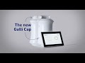 Galli cap v2