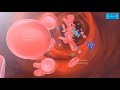 Blood coagulation  || Blood clotting || coagulation || 3D Video