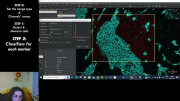 How to do Multiplexed Analysis using Qupath