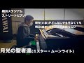 いまはどんなにやるせなくても...「月光の聖者達(ミスター・ムーンライト)」【桑田佳祐】