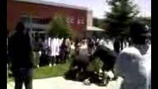 fight in windsor