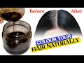 ये नुस्खा बालो को इतना काला कर देगा की हेयर डाई भूल जाओगे| How to cure Grey/White Hair |Homemade Oil