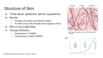 Fracture Mechanics of Human Skin