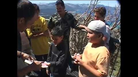 In Action Set (Vol 1 thru 3) by Gregory Wilson