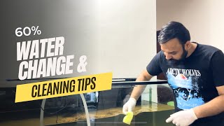 Cleaning My 5-Feet Monster Tank: Aquarium Water Changing Tips For Beginners