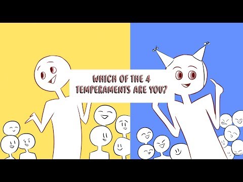 Video: Bestemme Typen Temperament