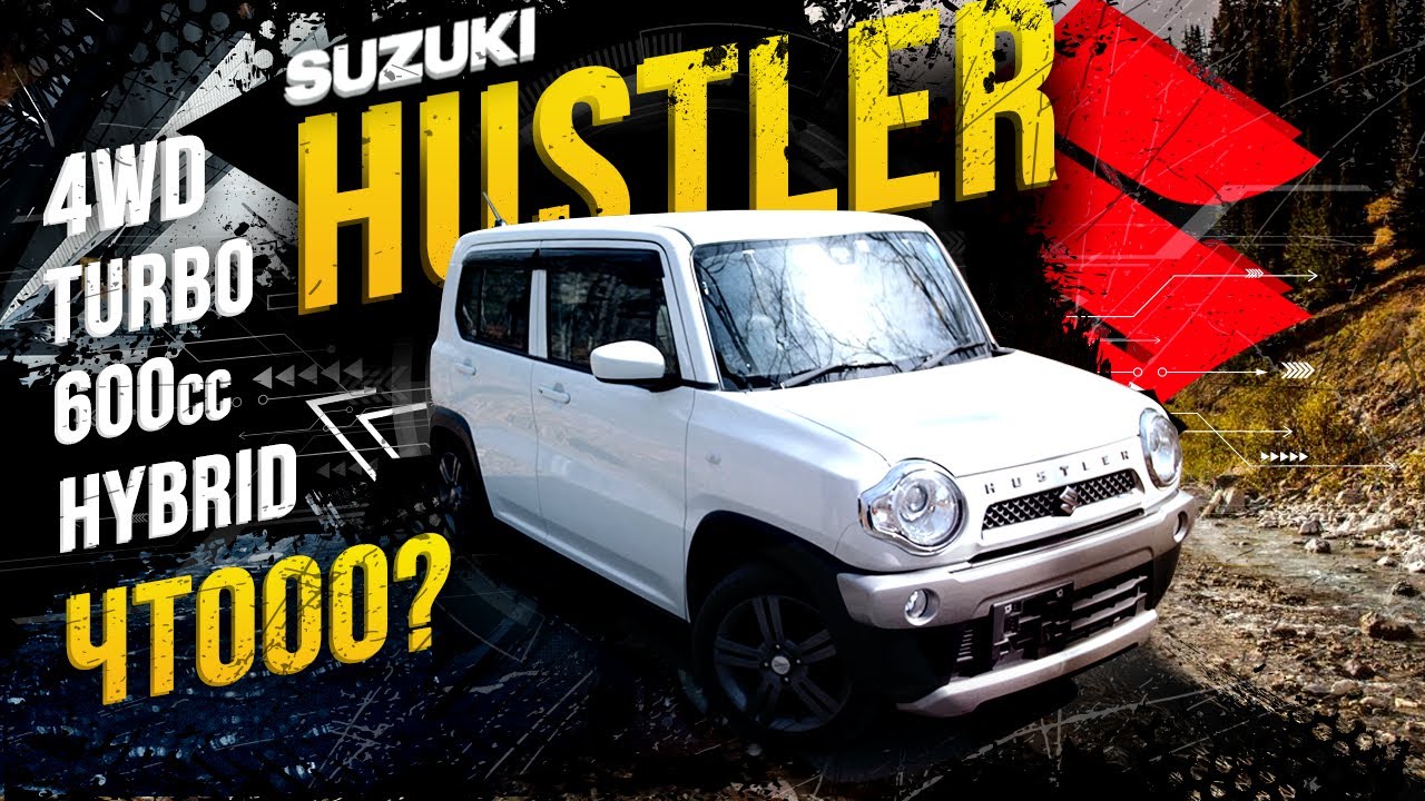 Black Hustler Pet Black Hustler Pet