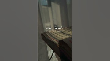 القرآن الكريم #قرآن #عبدالرحمن_مسعد