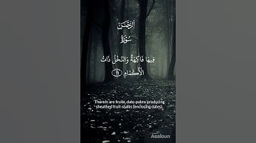 Surah Ar-Rahman (سورة الرحمن) | So Which of the Favors of Your Lord Will You Deny|Beautiful Tilawat