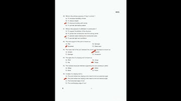 PROVISIONAL ANSWER KEY ll GRADE OVERSEER/DRAFTSMAN 🔥🔥 (CIVIL)/OVERSEER GRADE II(CIVIL) #keralapsc