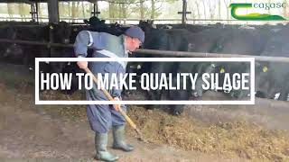The 3 T's of making good quality silage