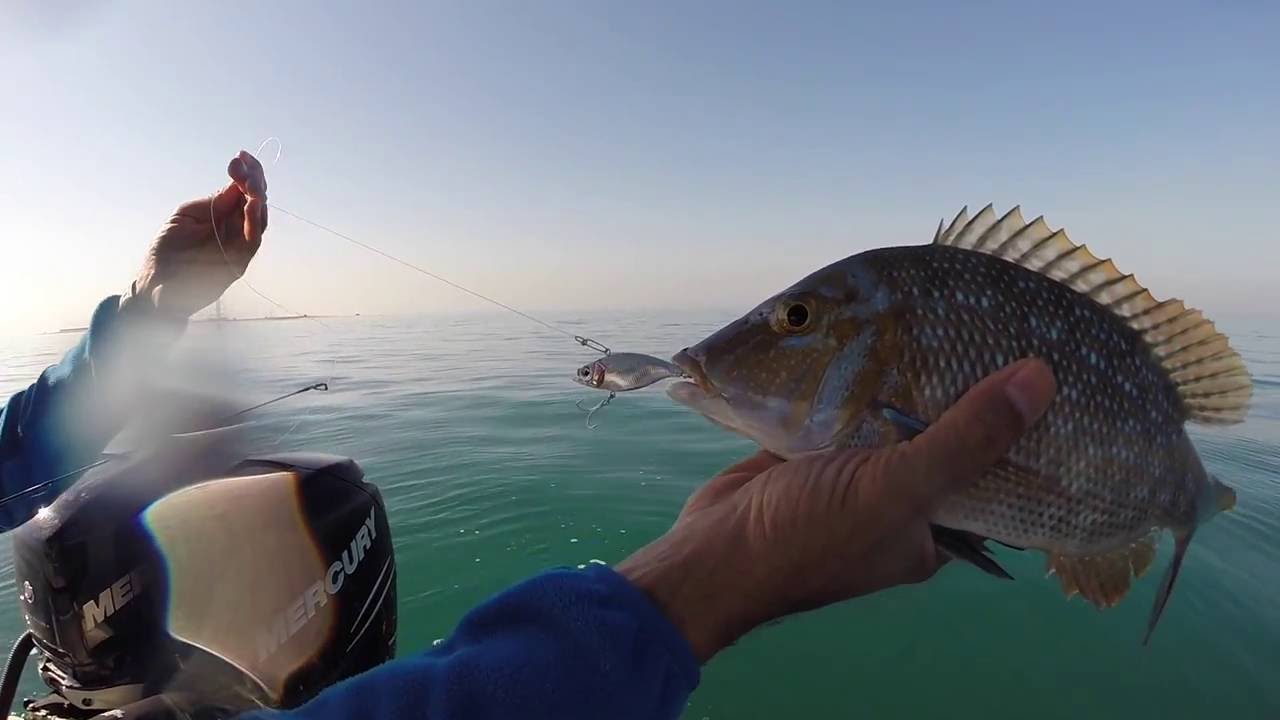 Light Tackles Fishing Kuwait YouTube