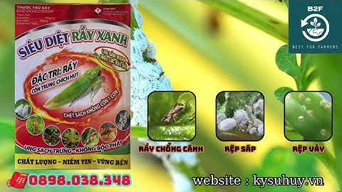 HIỆU SIÊU DIỆT RẦY XANH  -  TRỊ RẦY PHẤN TRẮNG, BỌ TRĨ, RUỒI VÀNG - 0898.038.348 #sieudietrayxanh