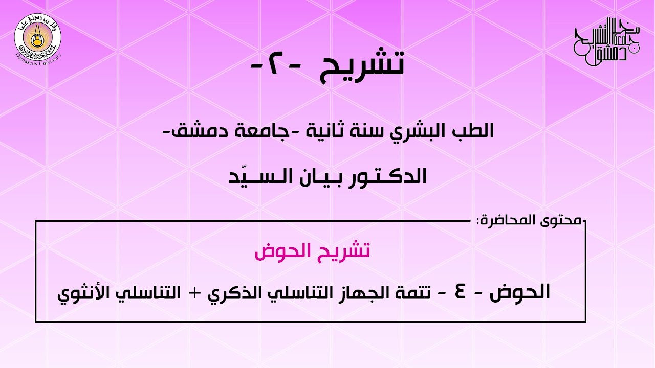 تشريح 2 | الحوض 4 | تتمة الجهاز التناسلي الذكري + التناسلي الأنثوي