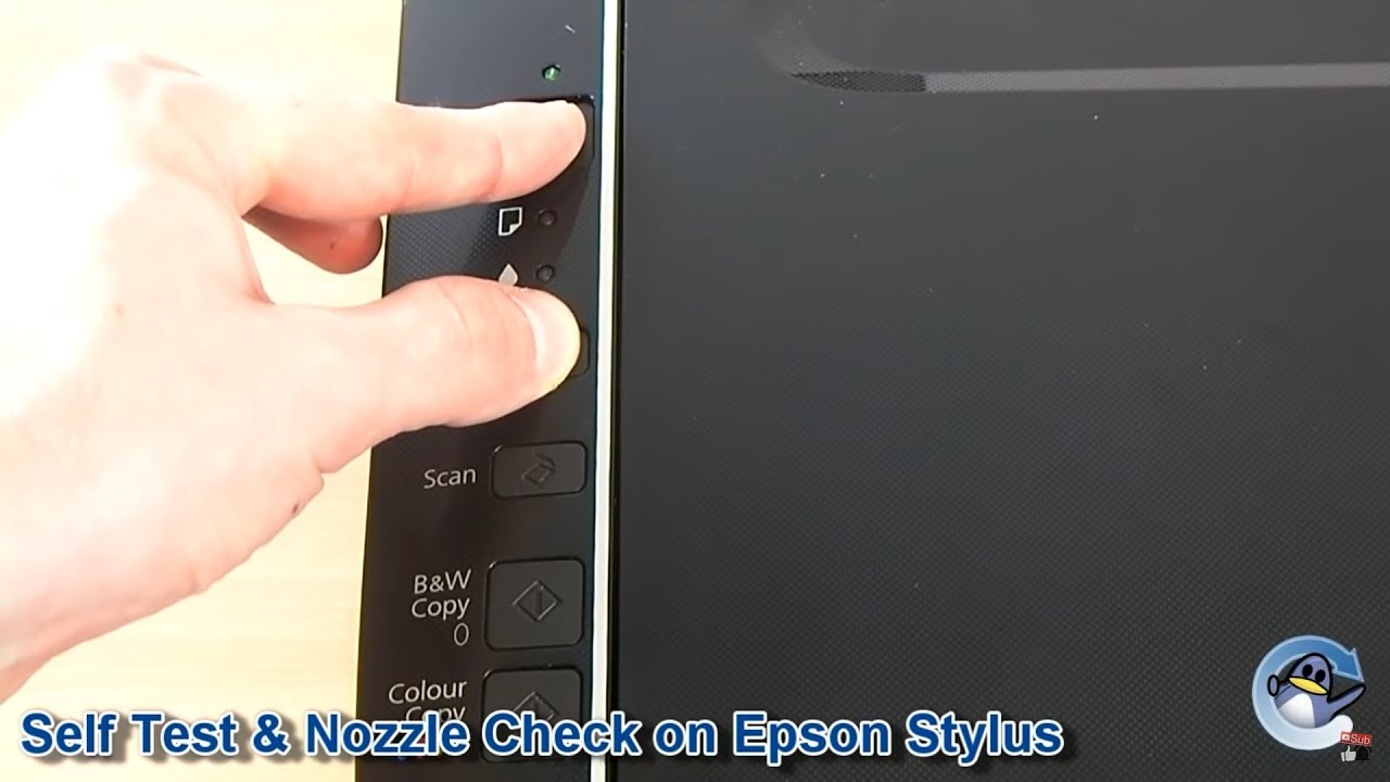 Sporvogn Ristede ser godt ud How to Self Test & Nozzle Check on Epson Stylus Printer - YouTube