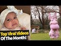 Top 80 Viral Videos Of The Month - February 2020