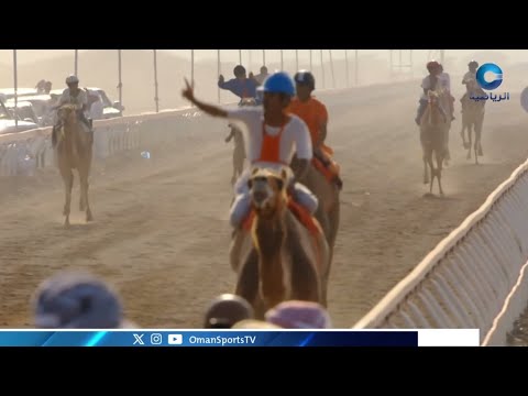 سباق الهجن في صحار صهيل الذاكرة ونداء الأصالة 