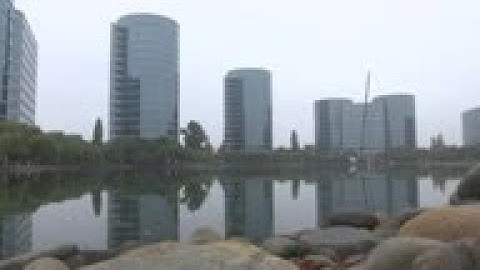 Oracle wins TikTok over Microsoft in Trump-urged bid