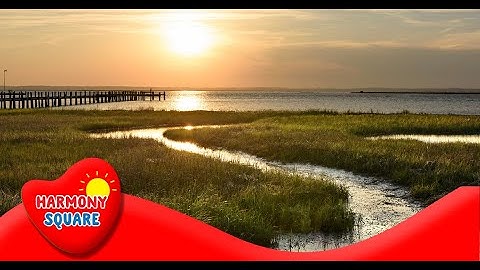 Marsh - More Science on the Learning Videos Channel