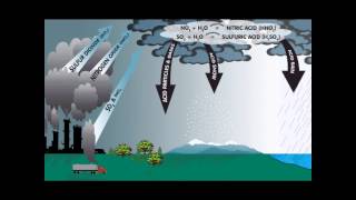 The Sulfur Cycle