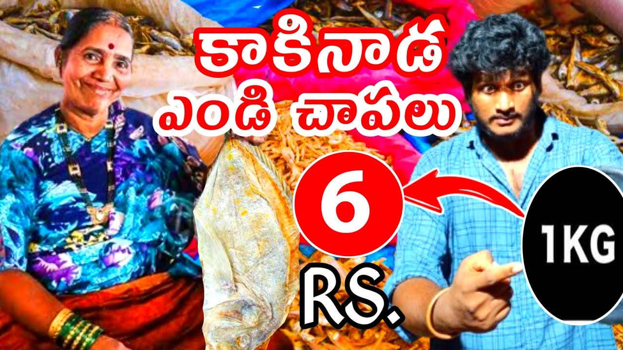 Kakinada Dry Fish Market 6 రూపాయలకే 1 కేజీ ఎండు చేపలు ll మరి ఇంత