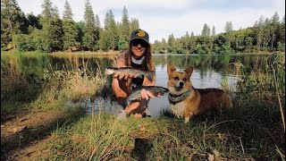 Fishing For Aggressive Mountain Trout (Catch & Cook By The Lake)