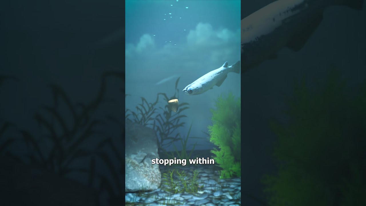 Shoot A Bullet Underwater 