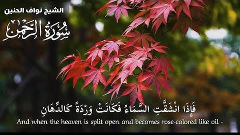 تِلاوة من سورة الرحمـــن || الشيخ نواف الحنين