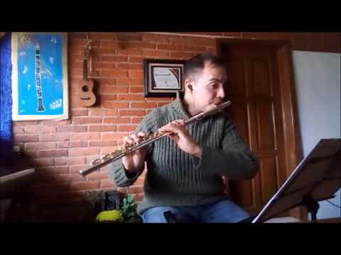 Ravel - Pavane pour une infante défunte